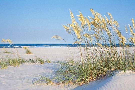 Shell Island Resort - All Oceanfront Suites Wrightsville Beach Exterior foto